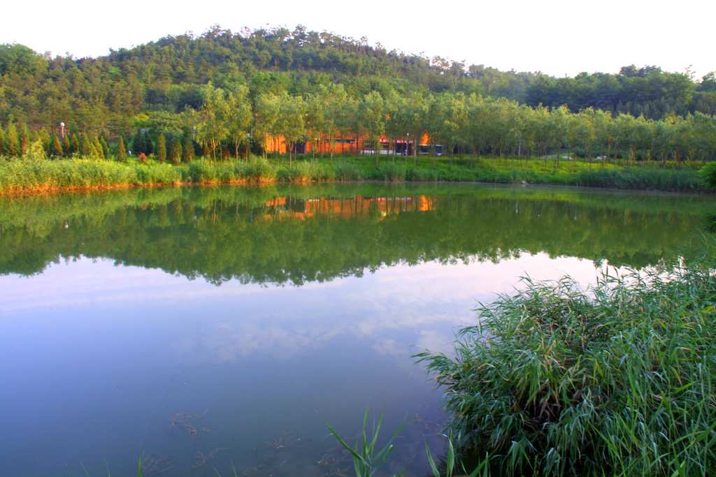 夏之景（15） 摄影 TT1948