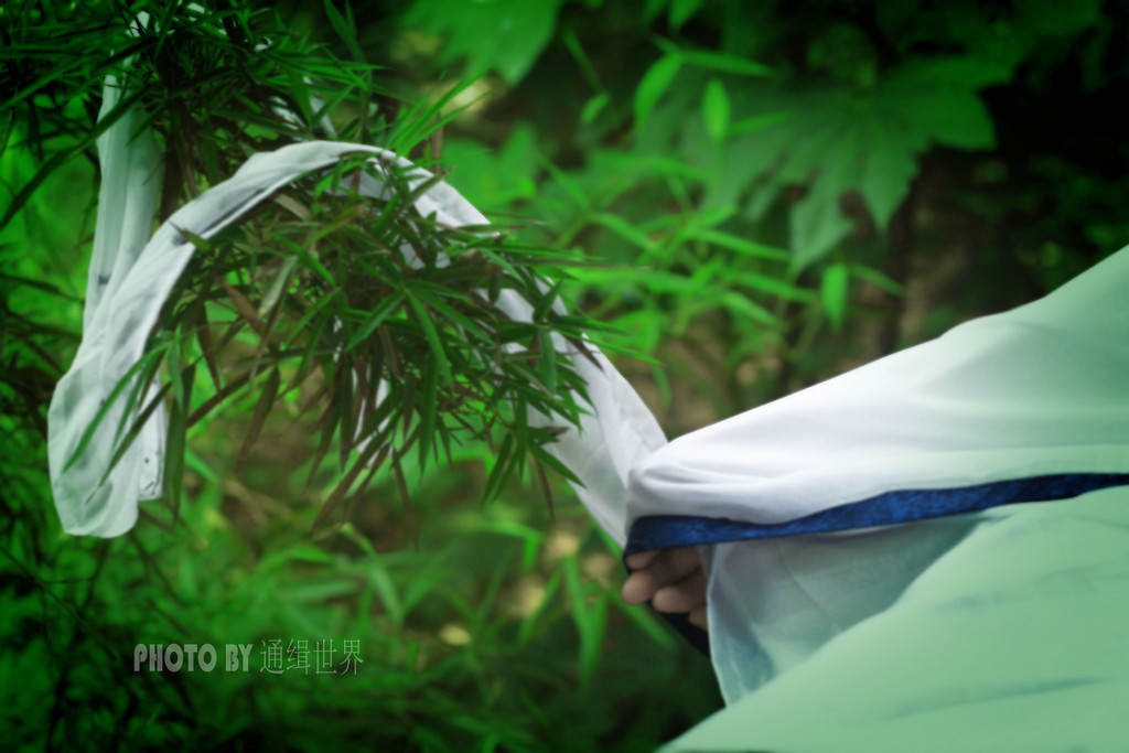 等待 摄影 通缉世界
