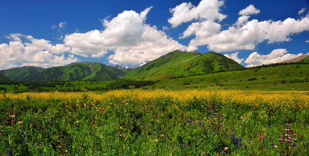 禾木之夏 摄影 梁山田地