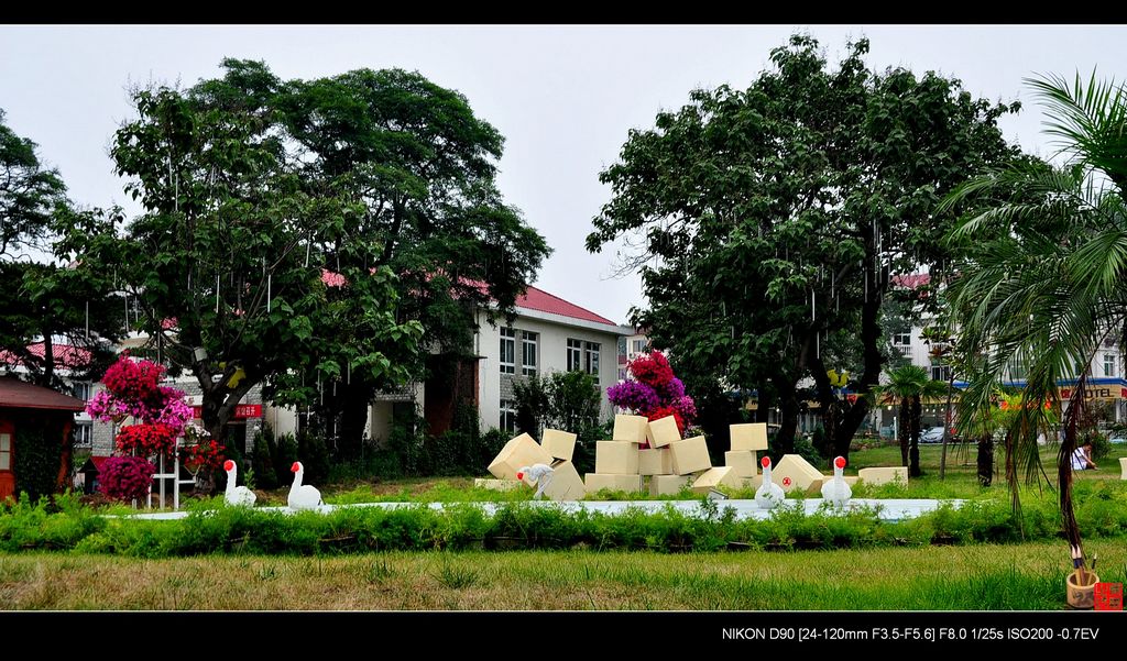 北戴河保二路街头小景 摄影 秦漂