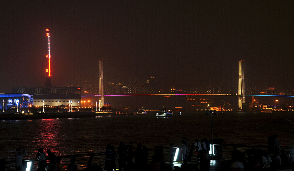 南浦大桥2（世博夜景） 摄影 水城人