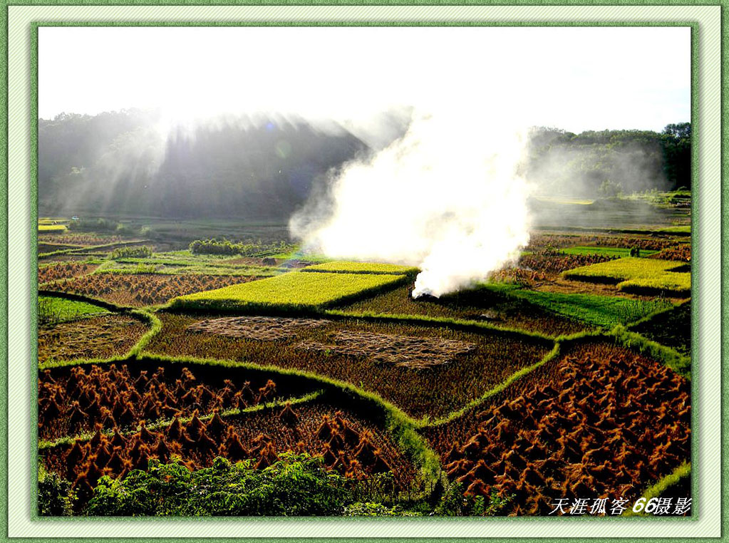 夕照田野生紫烟 摄影 天涯孤客66