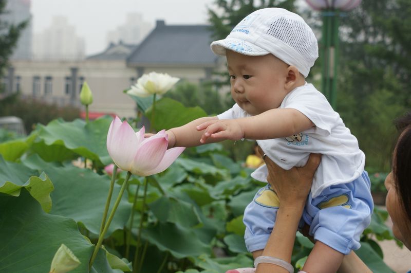 好漂亮的花 摄影 英子的秋天