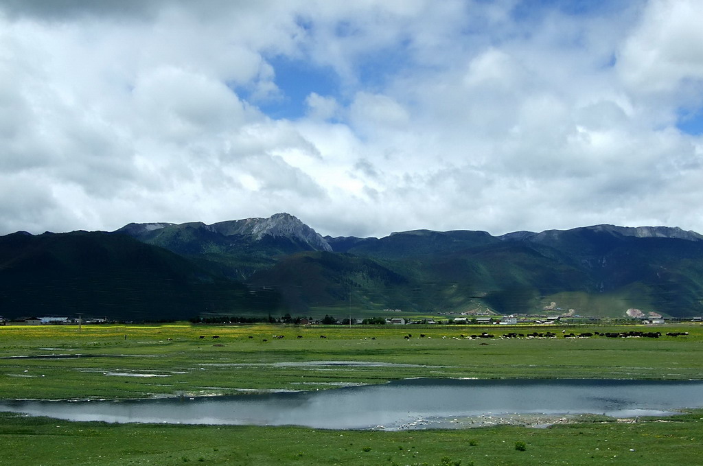 香格里拉 摄影 鲤江