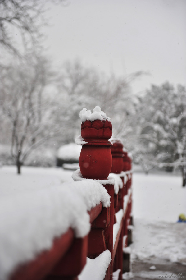 飞雪 摄影 栗子蛋糕