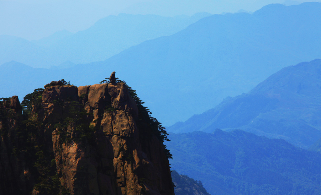 猴子观山 摄影 七摄风