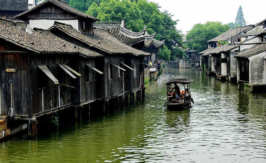 水乡乌镇 摄影 山枣