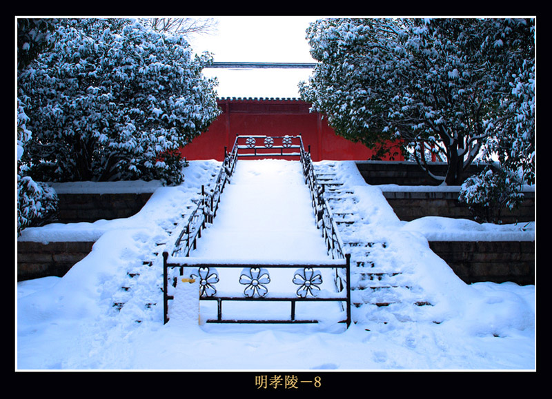 南京雪景-明孝陵 摄影 jdyang44