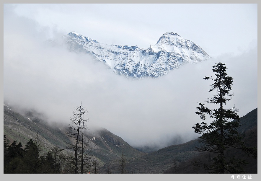 雾蒙雪山 摄影 目目佳佳