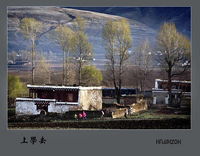 上学去 摄影 雪山草地