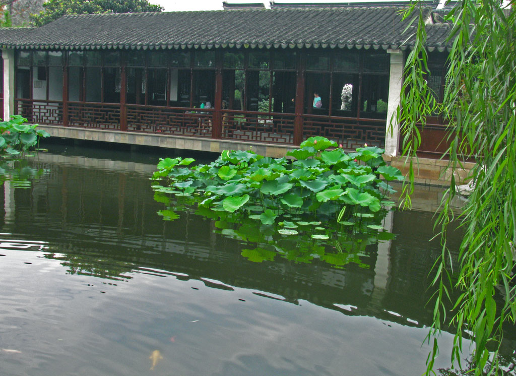 苏州园林.艺圃一景 摄影 綄鎂幸福