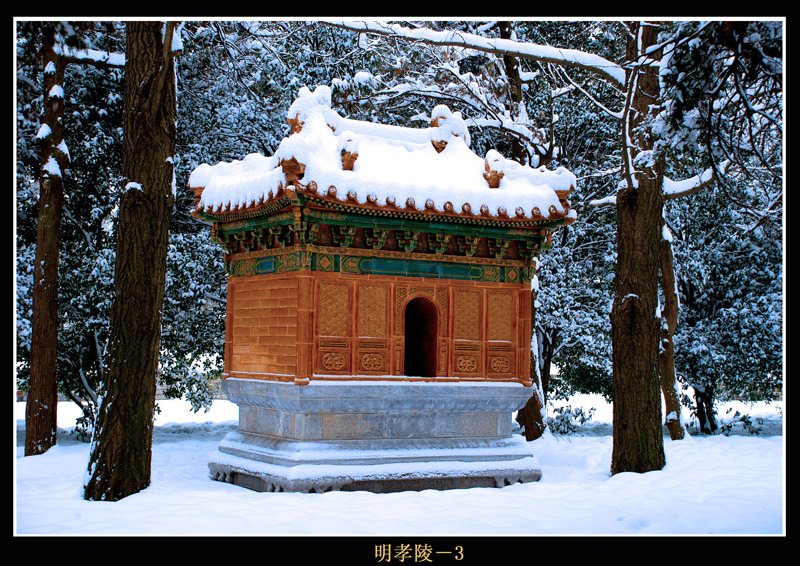 南京雪景-明孝陵 摄影 jdyang44