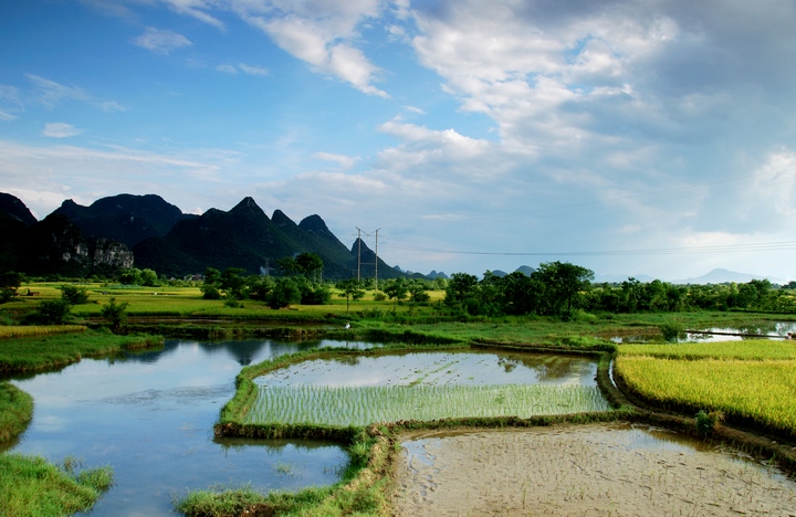 会仙湿地 摄影 云山西河