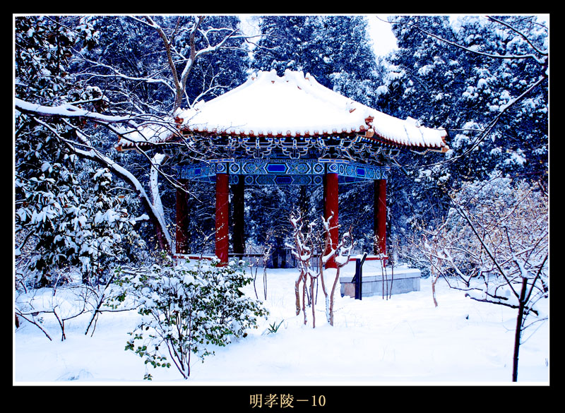 南京雪景-明孝陵 摄影 jdyang44