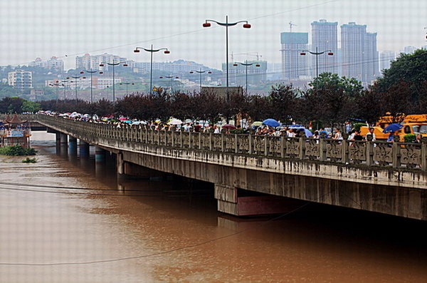 成千上万重庆市民冒雨观潮 摄影 南粤凌鹰