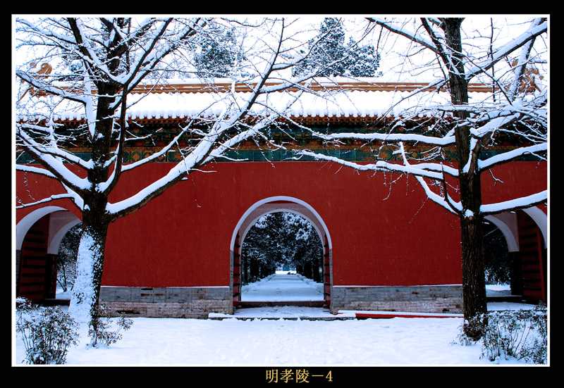 南京雪景-明孝陵 摄影 jdyang44