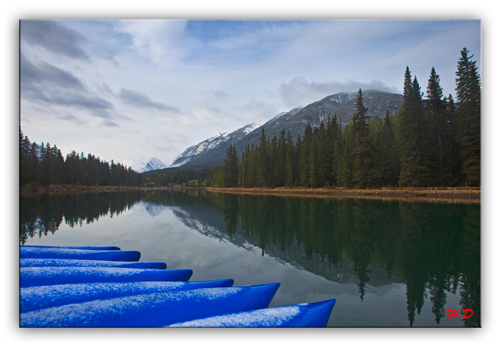 雪后的弓河（Bow River） 摄影 hettet