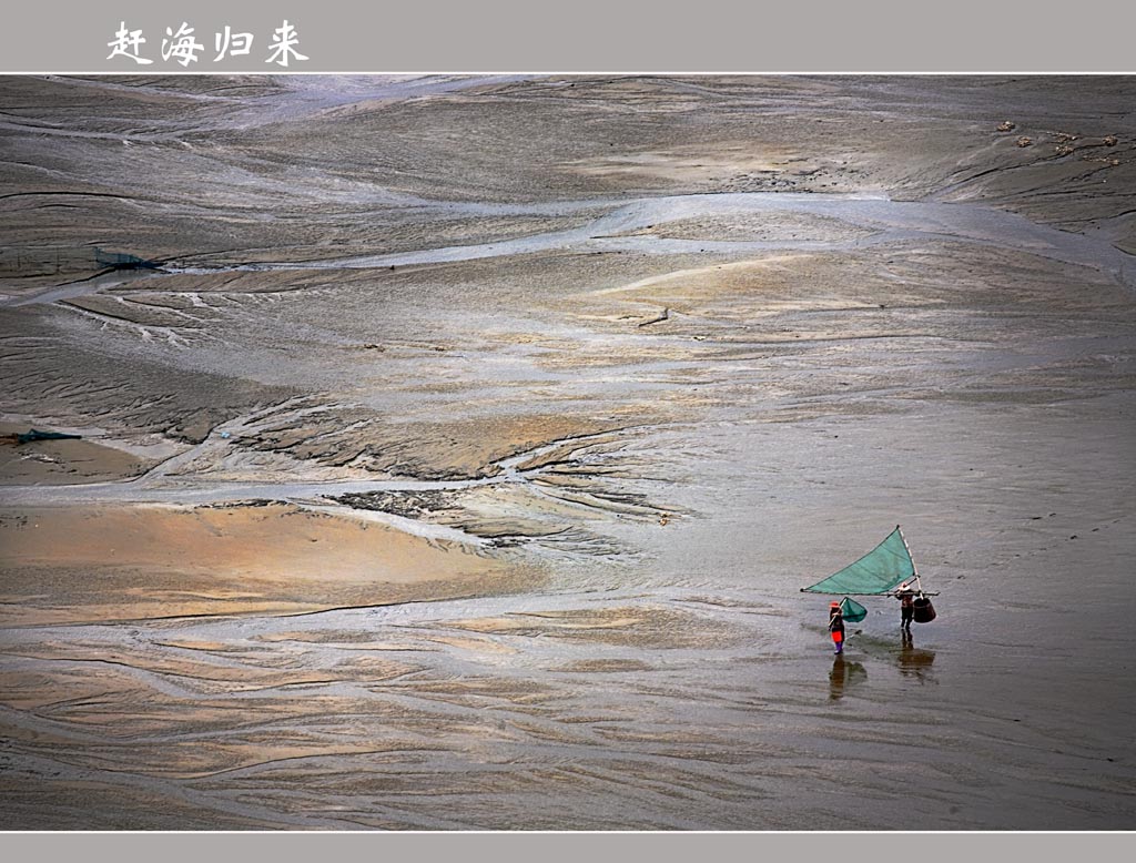 赶海归来 摄影 山居秋螟