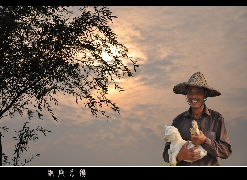 俺家的羊宝宝 摄影 洞庭水