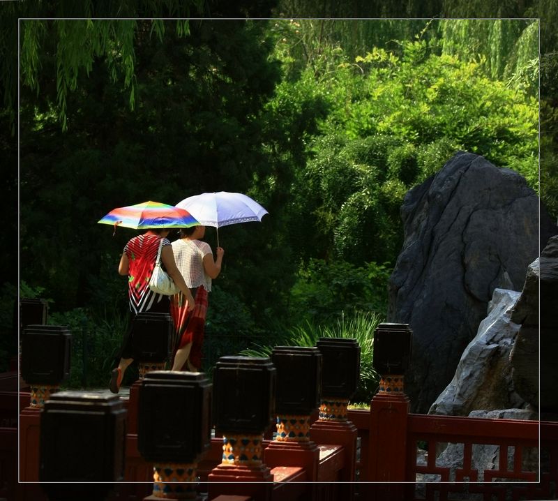 夏日与清凉 摄影 石英