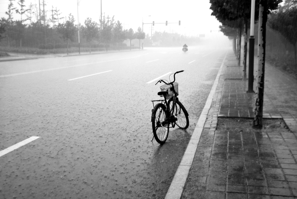 雨中 摄影 一村夫