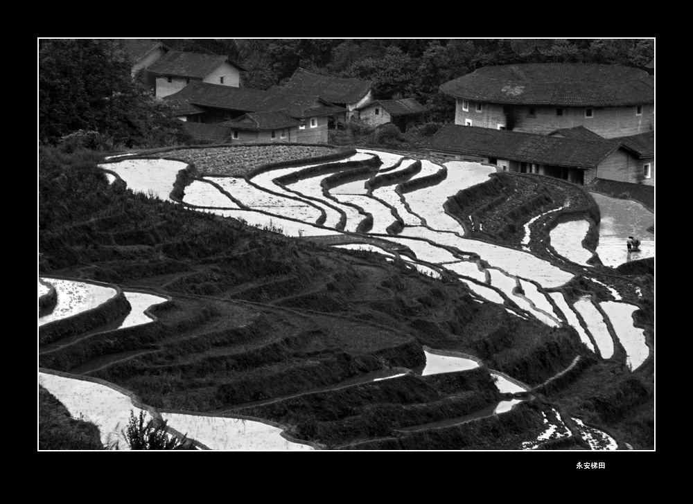 永安梯田 摄影 湮迪