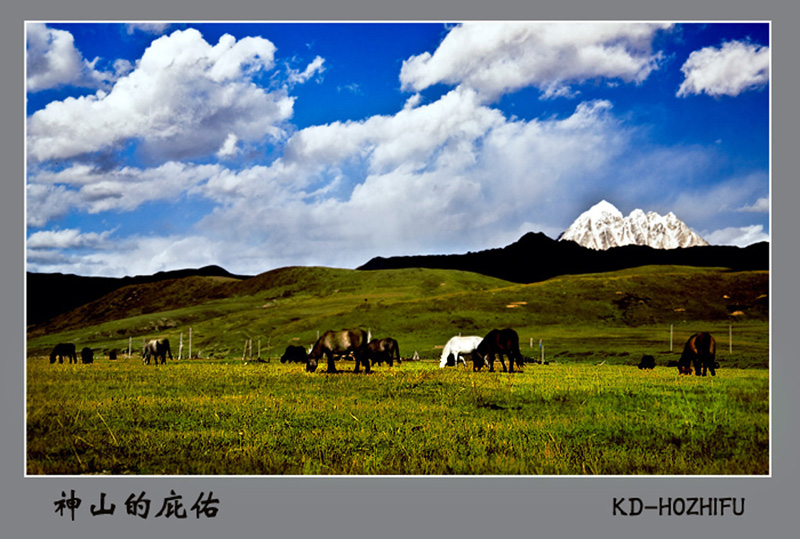 神山的庇佑 摄影 雪山草地