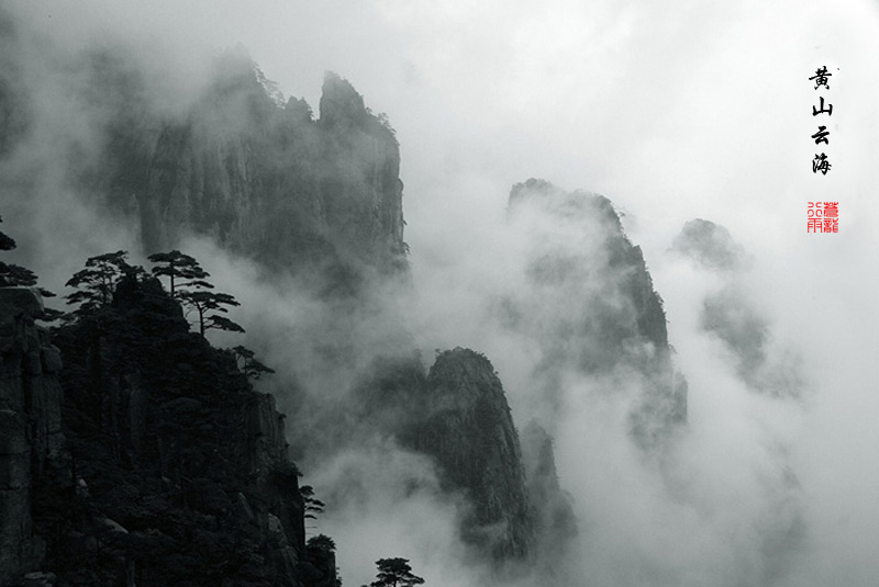 黄山云海 摄影 苍龙行雨