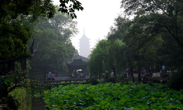 苏州拙政园小景1 摄影 嵩风