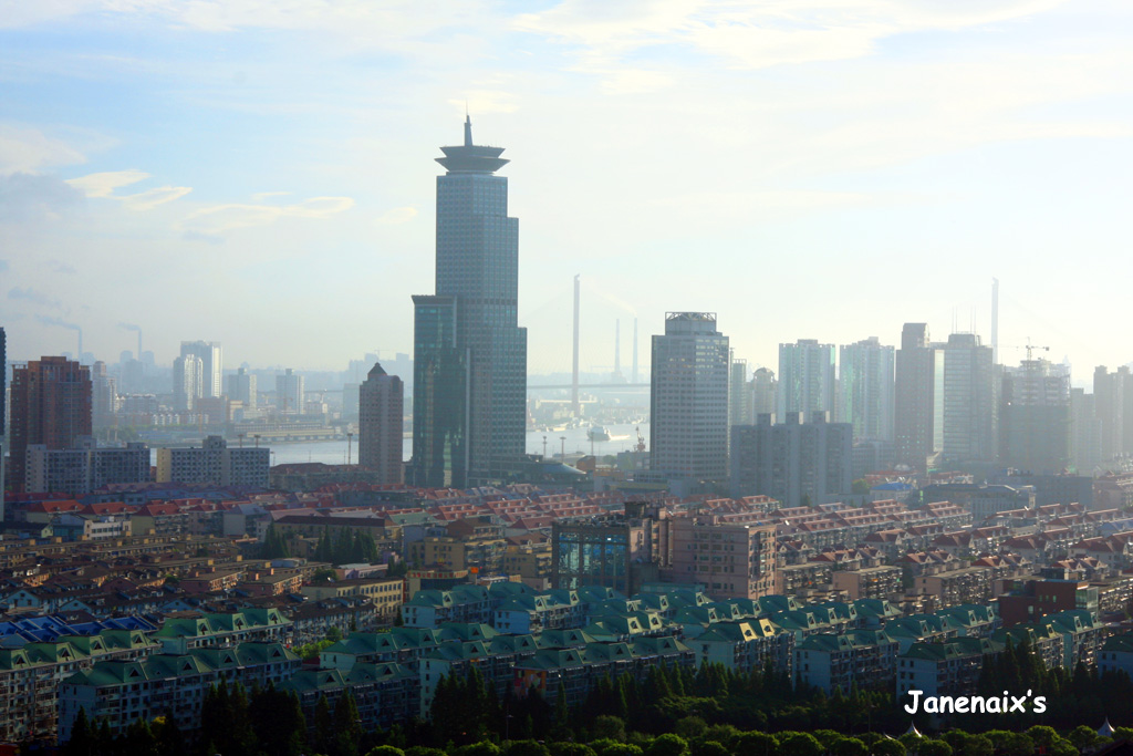 上海的早晨 杨浦大桥 摄影 火木