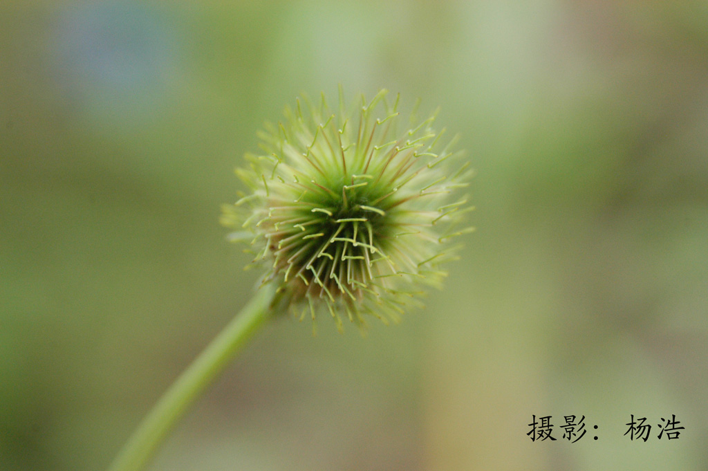 新生 摄影 yhyanghao