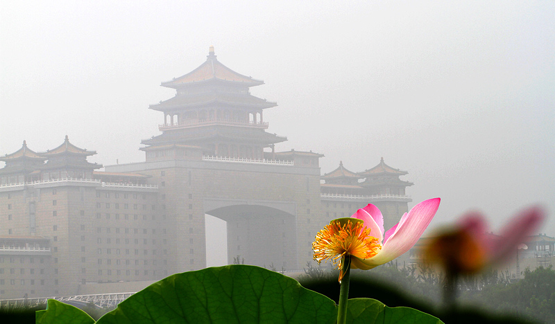 娉婷顾影 摄影 雨彤