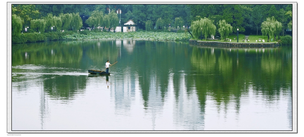 七月的包河公园 摄影 网事如影