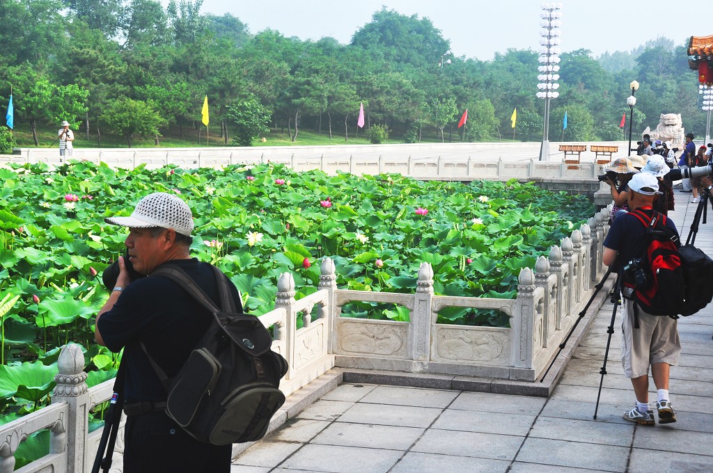 摄影大师云集荷园——摄影忙 摄影 小玩童