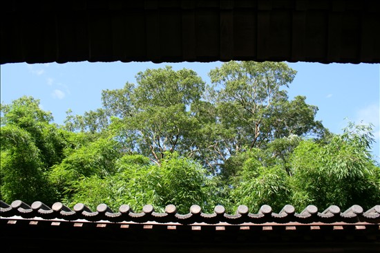 头顶画廊 摄影 风雨者