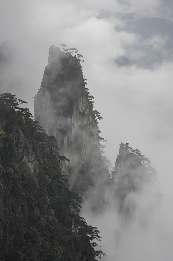 云雾黄山 摄影 光色影GY