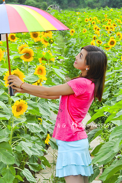 葵与花 摄影 高原小眼睛