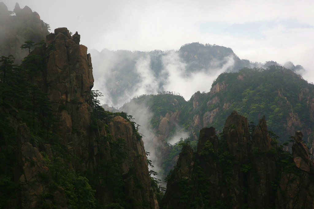 云烟 摄影 苹果狼