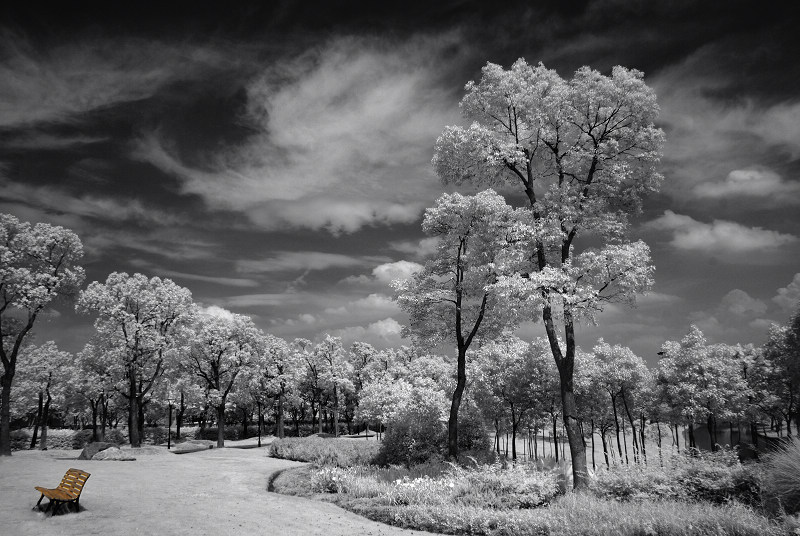 上海东方绿舟（Nikon D80 IR680nm） 摄影 独步山羊