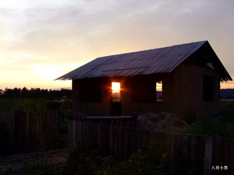 北极村--夕阳在俄国 摄影 八哥小黑