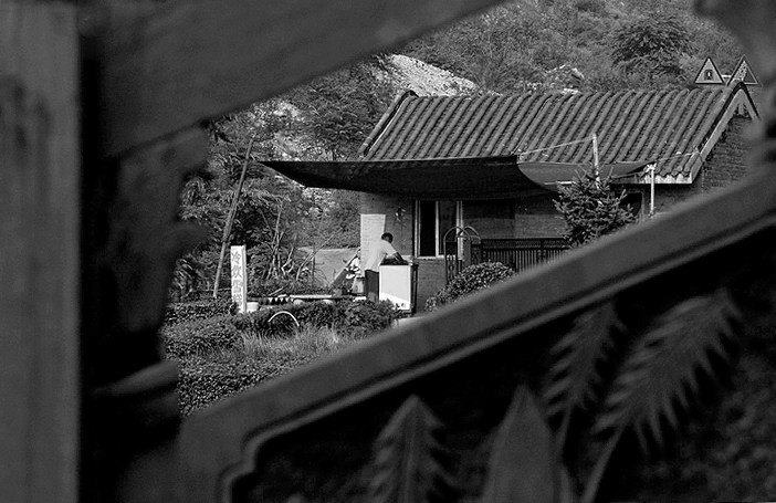 栏杆上的风景 摄影 蜂花蝶舞