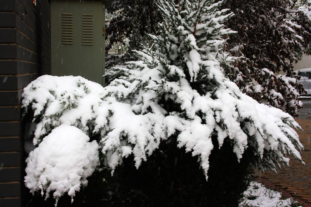 酷夏与雪 摄影 菲雪儿