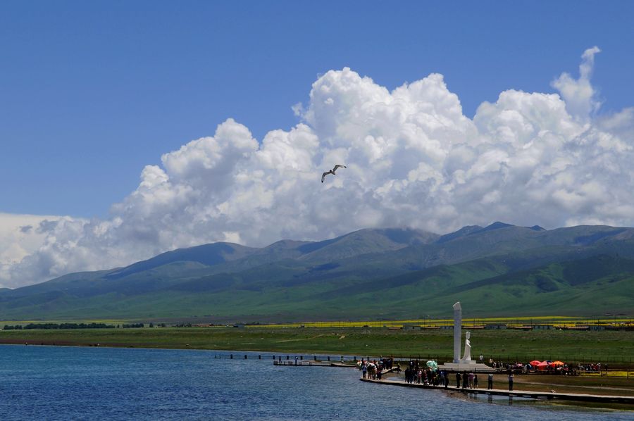 大美青海(3)---湖光山色飞鸟 摄影 文一哥