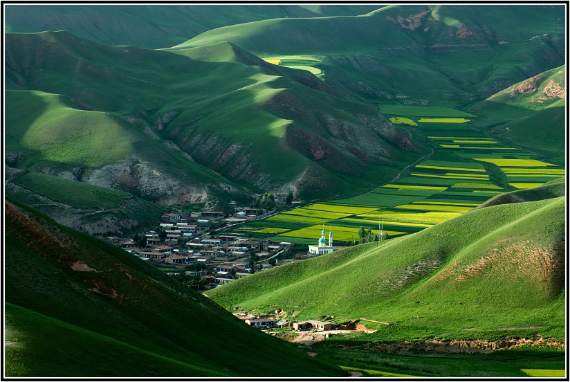 山村 摄影 老黄牛.