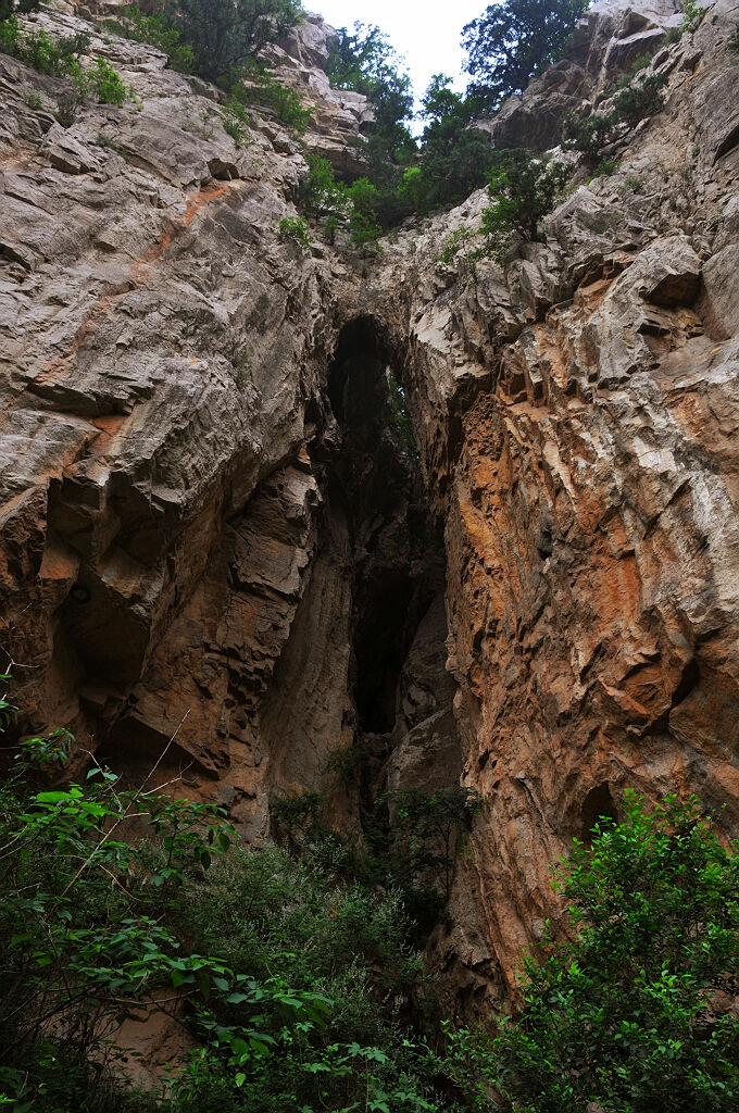 “生命之源”——潭溪山小景3 摄影 水城人