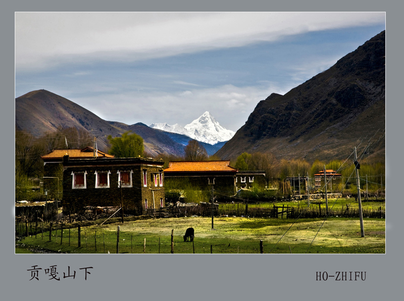 贡嘎山下 摄影 雪山草地