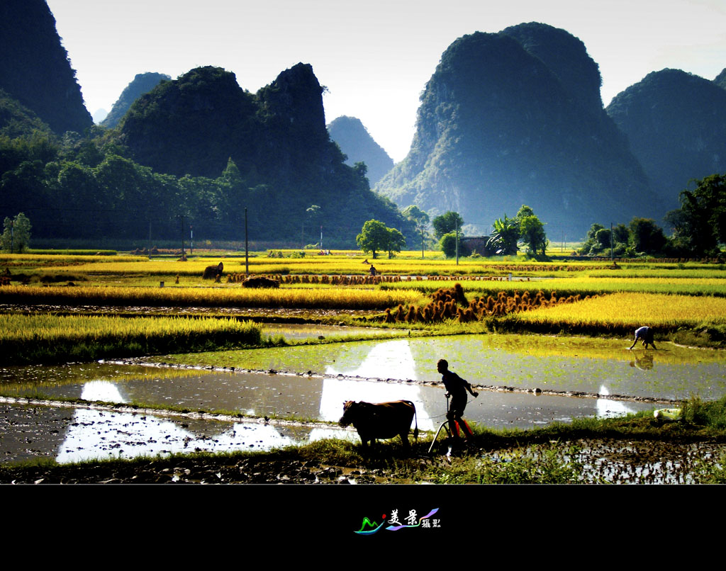 农 忙 时 节 摄影 阳朔美景