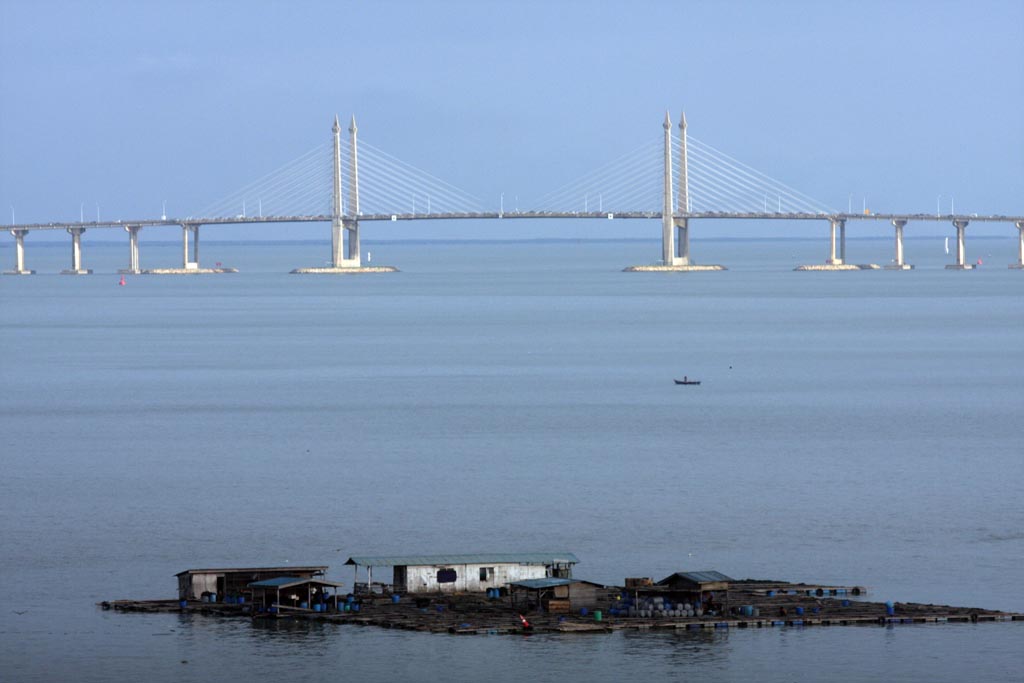 bridge 摄影 葉鍾華