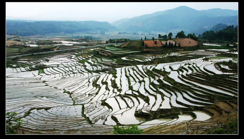 滇西行（7）--田园 摄影 山的孩子