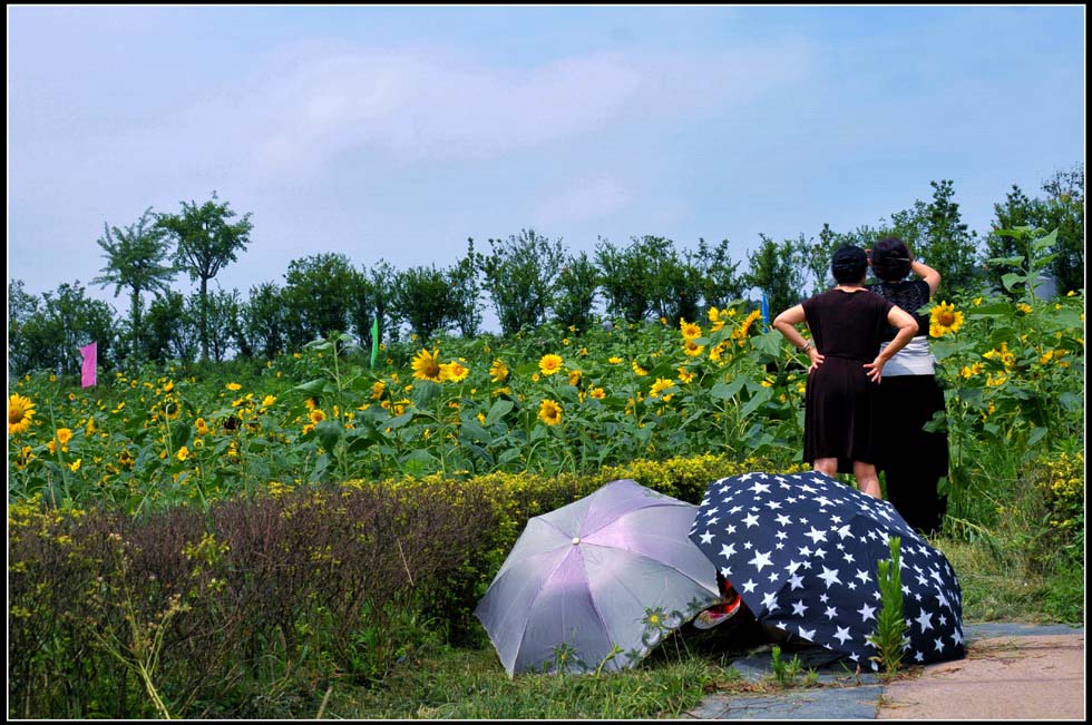 夏季假日 摄影 lingsu